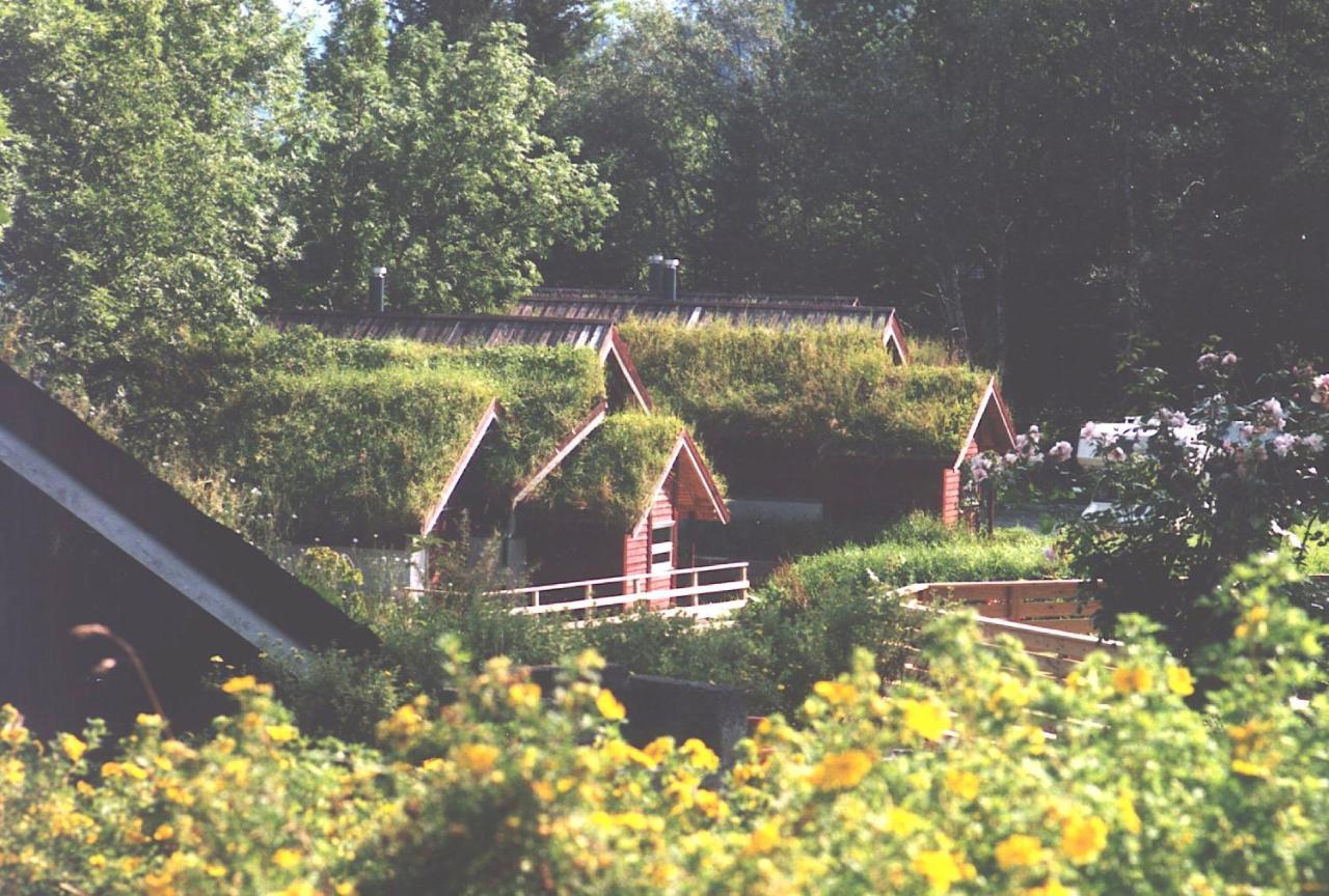 Willa Hardanger Feriesenter Nesvika Norheimsund Zewnętrze zdjęcie