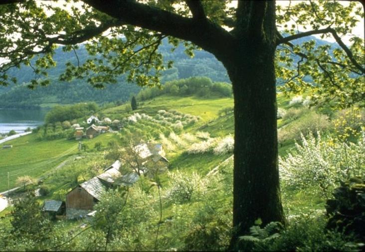 Willa Hardanger Feriesenter Nesvika Norheimsund Zewnętrze zdjęcie